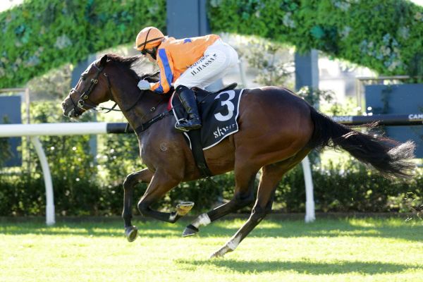 War of Sucession goes back to back at Ellerslie