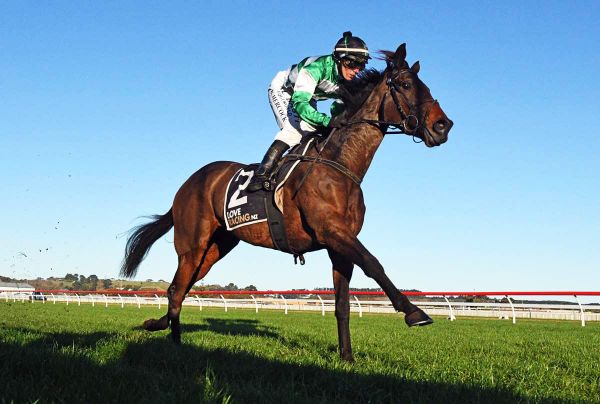 Who Knows the limit for talented Wanganui mare