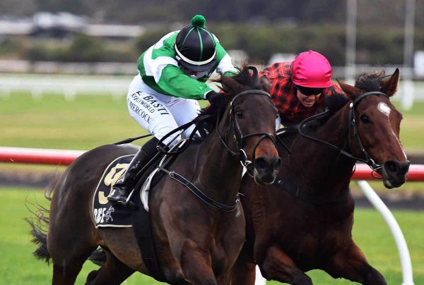 Local staying mare’s form hard to fault