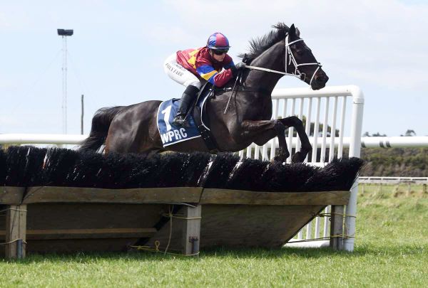 Taranaki chaser aiming for redemption at Trentham
