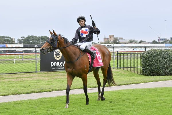 Sargent: 2500m to suit Bearings