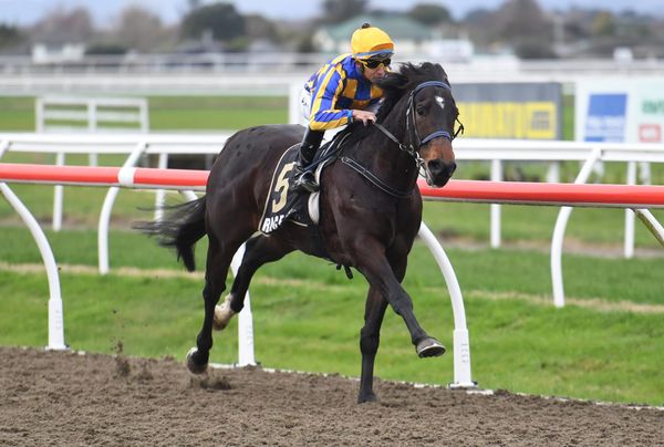 Perfect three for the Grays at Awapuni