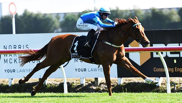 Group One-winning sprinter returns