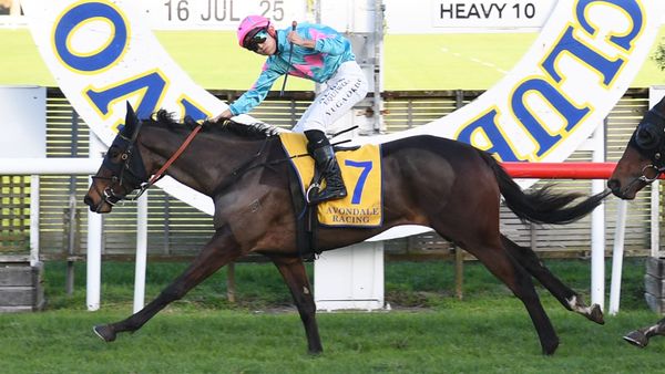 Perfect result for Falconer at Avondale