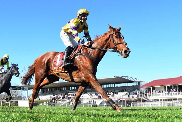 Te Rapa test for fast-improving hurdler 