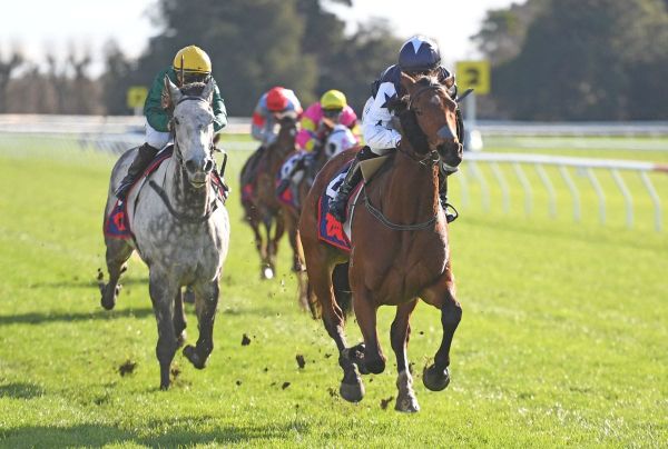 Pride Of Aspen shines in familiar territory