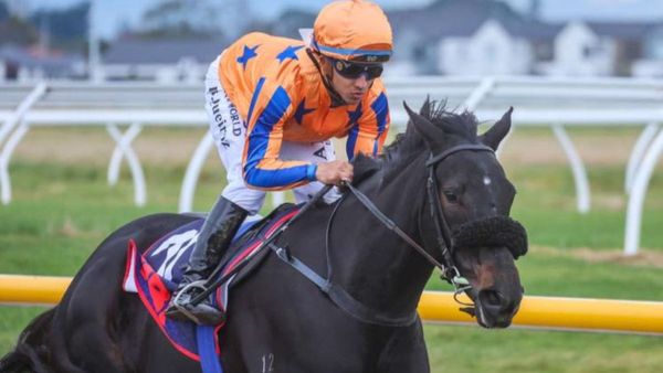 In-form fillies spearhead strong stable line-up