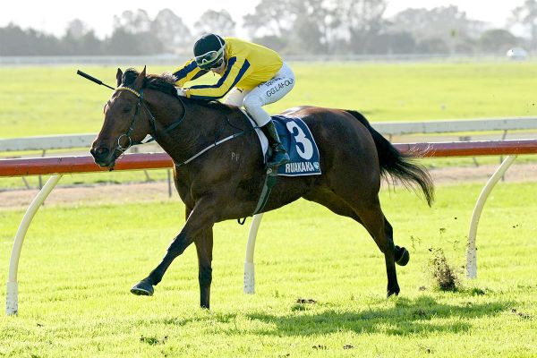 Reptak too speedy at Ruakaka