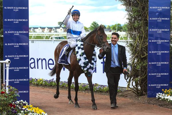 Connections in no hurry with high-class Savaglee