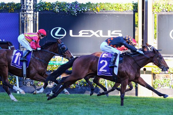 Shockletz claims Mahogany Challenge Final