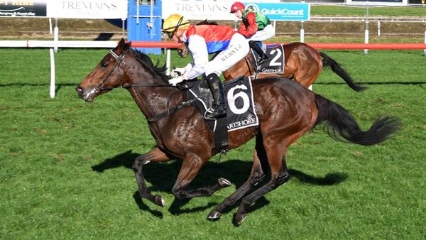 Slick filly provides first winner for Grey