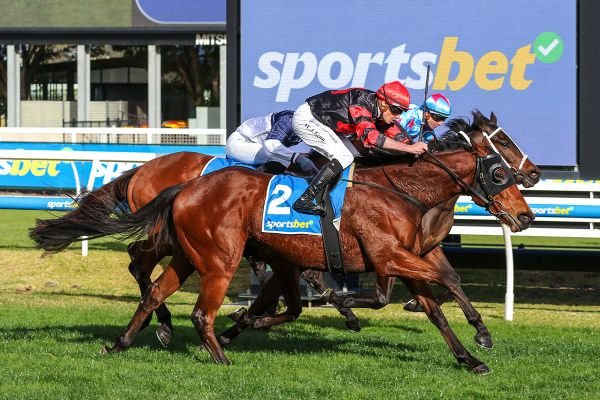 Stop The Rock strikes again