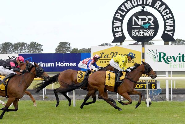 Harris team halved for Hawera