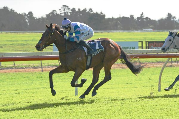 Logan makes winning return to Ruakaka