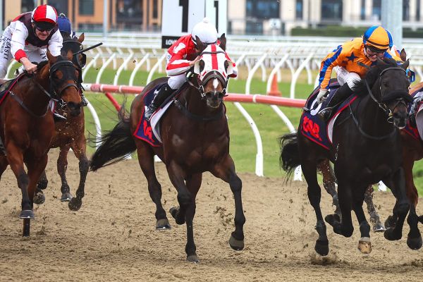 Six-figure prize in the offing for Zoulander