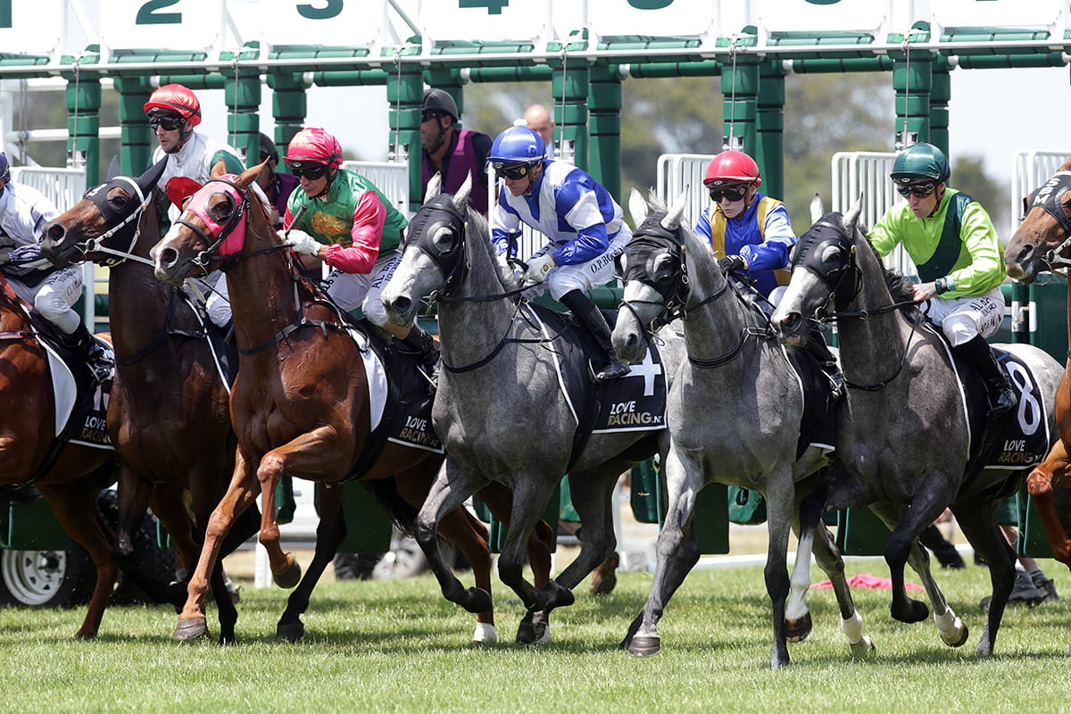 Sectional data a welcome addition | NZ Racing News