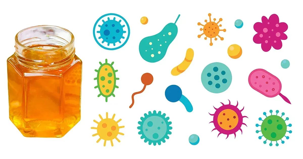 Il miele potrebbe rappresentare un modo naturale per combattere i batteri