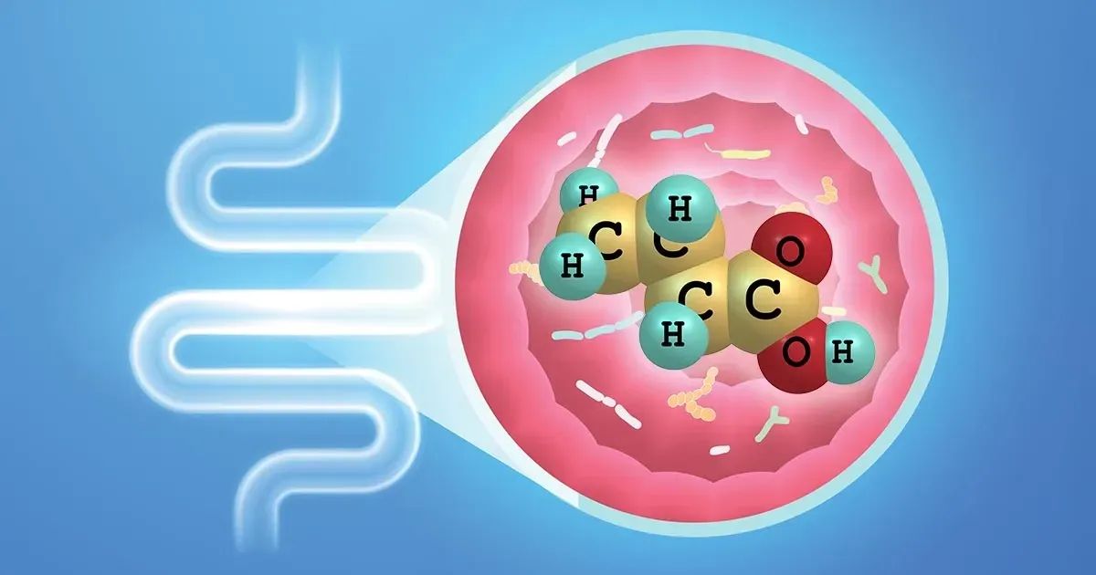 Butirrato: la centrale metabolica che alimenta l'intestino e non solo