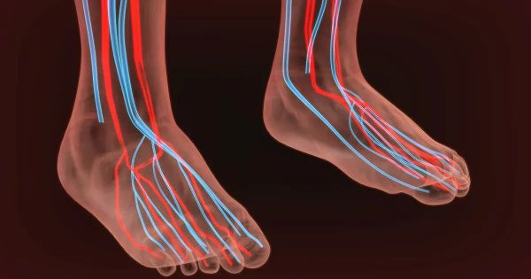 Sbloccare la salute dei nervi con soluzioni olistiche per la neuropatia