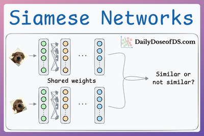 Contrastive Learning Using Siamese Networks