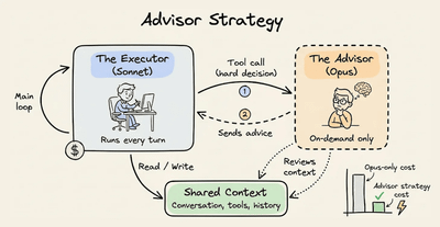Advisor Strategy in Agents