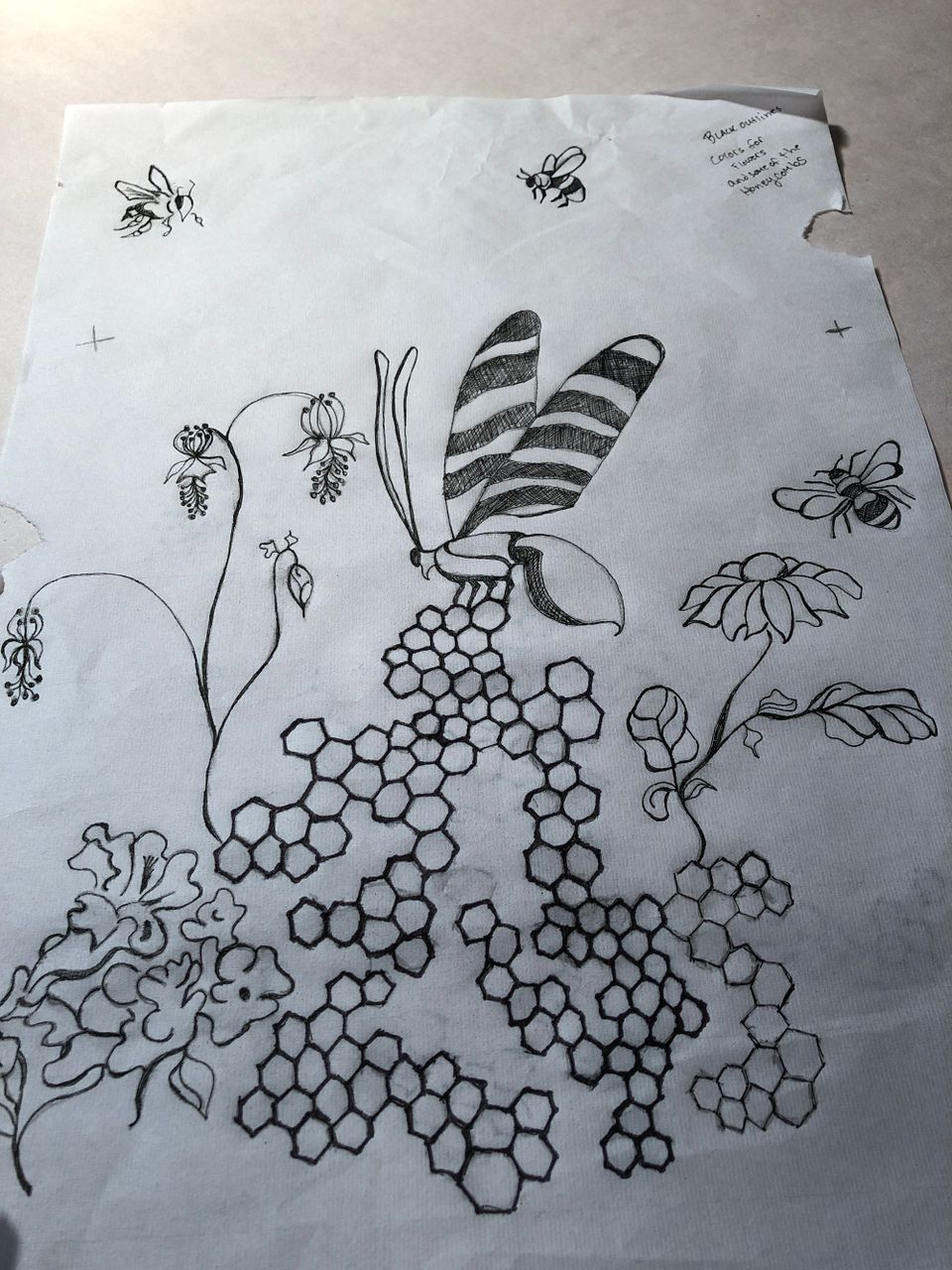 In the Studio (Video)