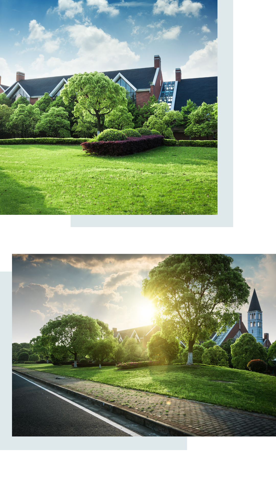 real estate video ideas for agents neighbourhood