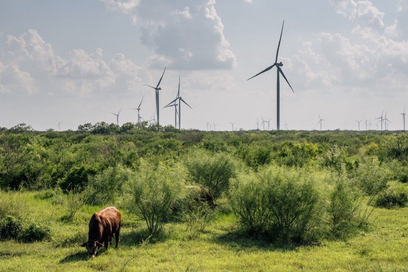 Tesla, Block and Blockstream ally to mine bitcoin off solar power in Texas