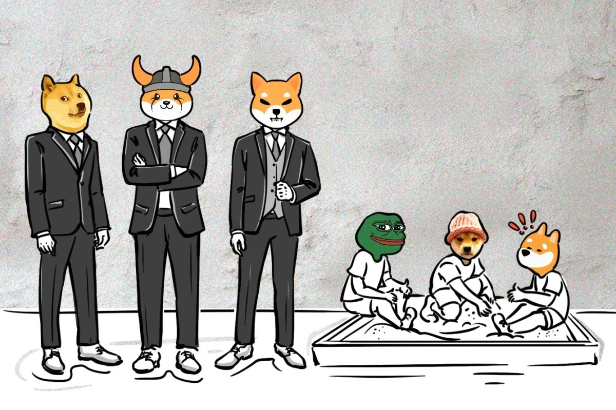Too Big to Be a Shitcoin: The Quest for Utility in Meme-Coins