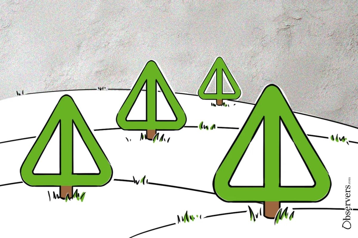 Notcoin: What Was it and What is it Now?