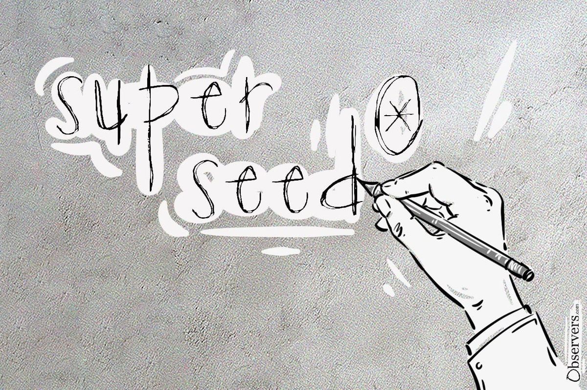 Superseed: A New Layer 2 Protocol That Will Repay Your Debt