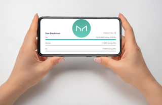 MakerDAO Excluded renBTC, Associated with Alameda Research, from the Reserves of Its Own Stablecoin