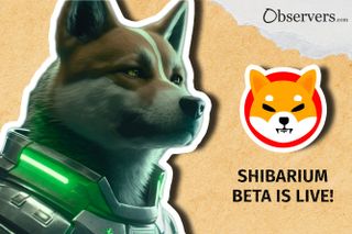 Shibarium Beta is Live! SBF isn’t Ryoshi. Whales Dropped Trillions SHIB Tokens