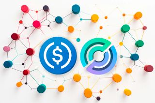 USDC Circle Bridged USDC Standar