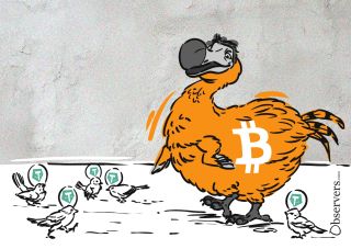 Dodo bird bitcoin tether stablecoins