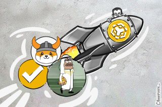 BNB Chain is driven by meme coin activity