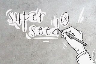 Superseed DeFi Lending