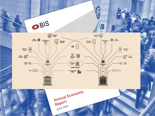 BIS Future Monetary System metaphor tree from the annual economic report