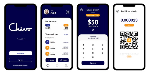 Checking on El Salvador Bitcoinization: Study by the University of Chicago