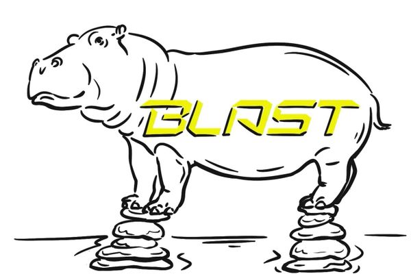 Blast L2’s Aggressive Marketing Under Scrutiny Despite $575M TVL Surge