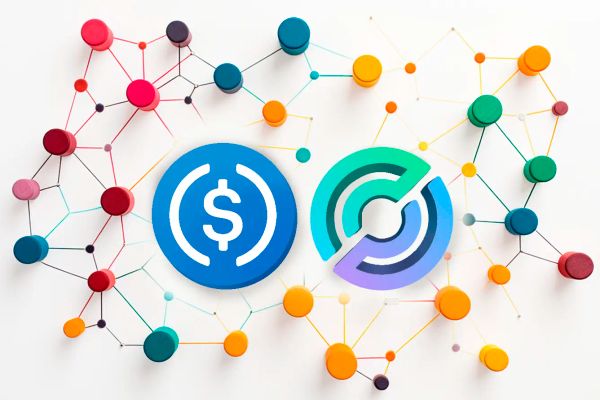 USDC Circle Bridged USDC Standar