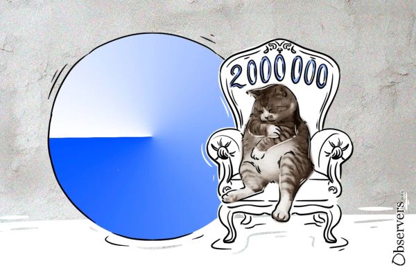 Base Gains Momentum As Memecoin 