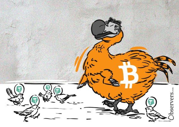 Dodo bird bitcoin tether stablecoins