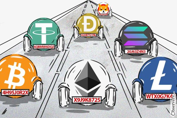 Sorting Out Crypto Mess: Digital Token Identifier Gains Traction