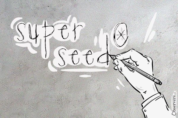 Superseed DeFi Lending