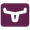 Longhorn