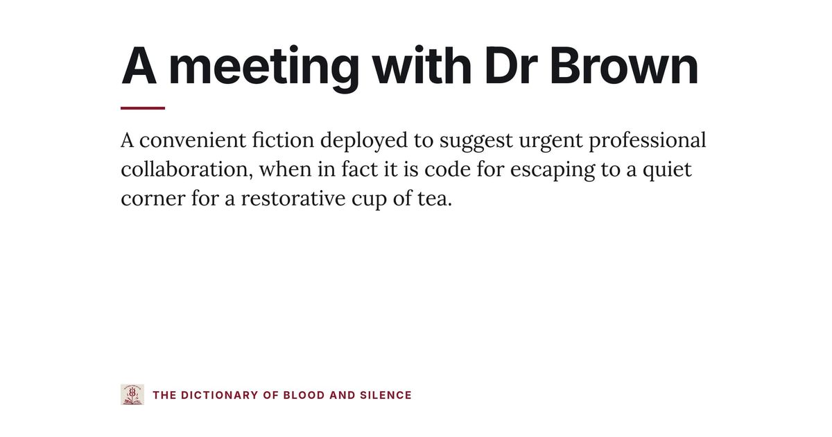 A meeting with Dr Brown