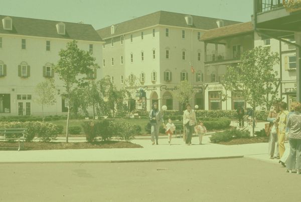 More 'Zone-In' engagement, plus candidate endorsements! 🗳️ 🇺🇸