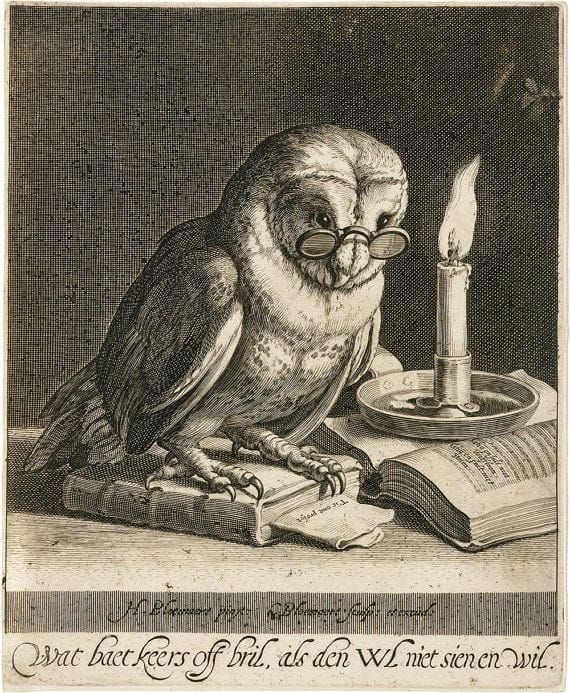 Owl at the Library