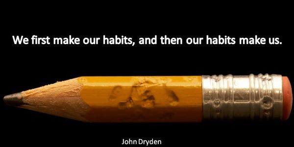We first make our habits, and then our habits make us.